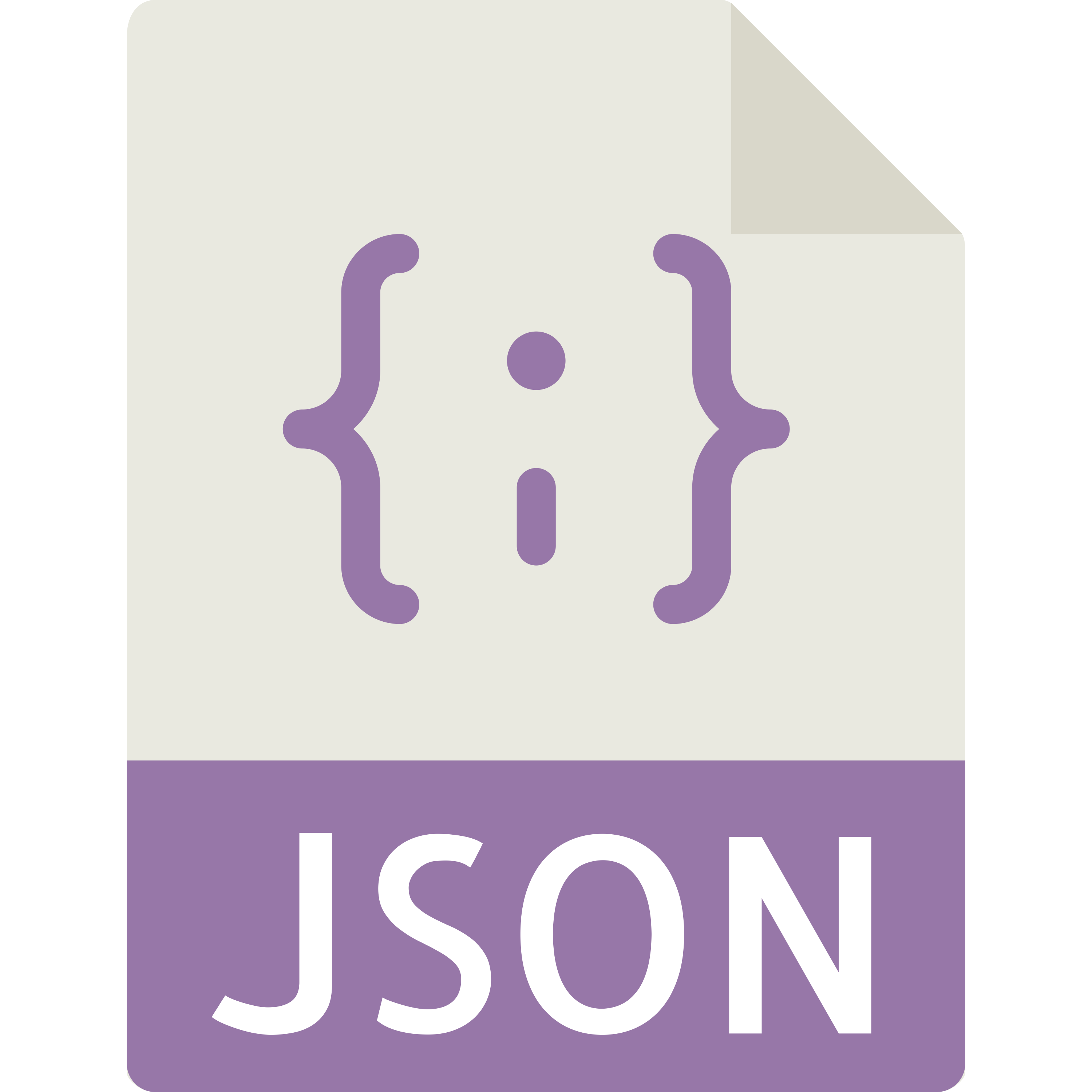 json-icon